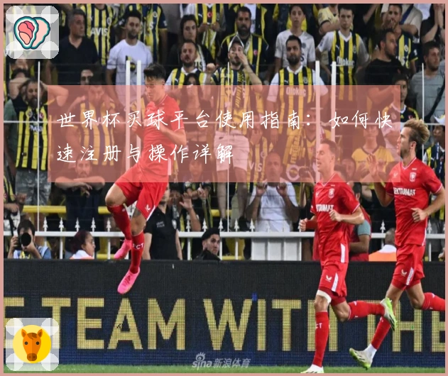 世界杯买球平台使用指南：如何快速注册与操作详解