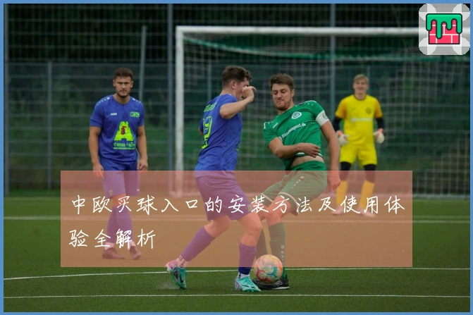 中欧买球入口的安装方法及使用体验全解析