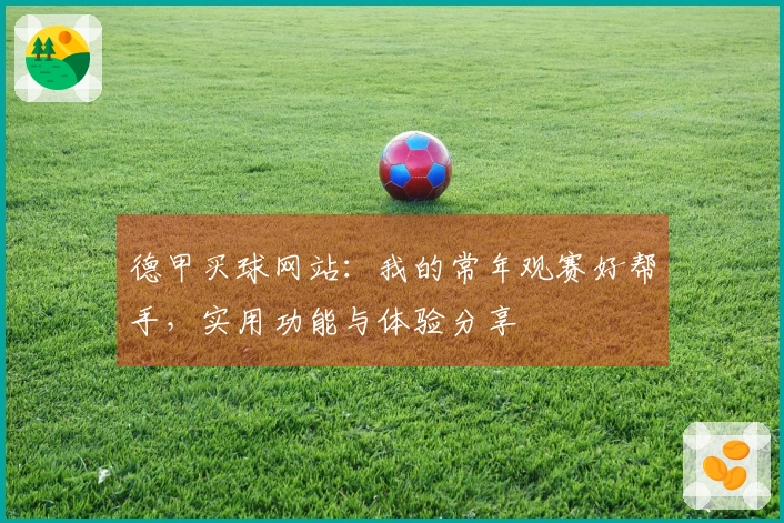 德甲买球网站：我的常年观赛好帮手，实用功能与体验分享