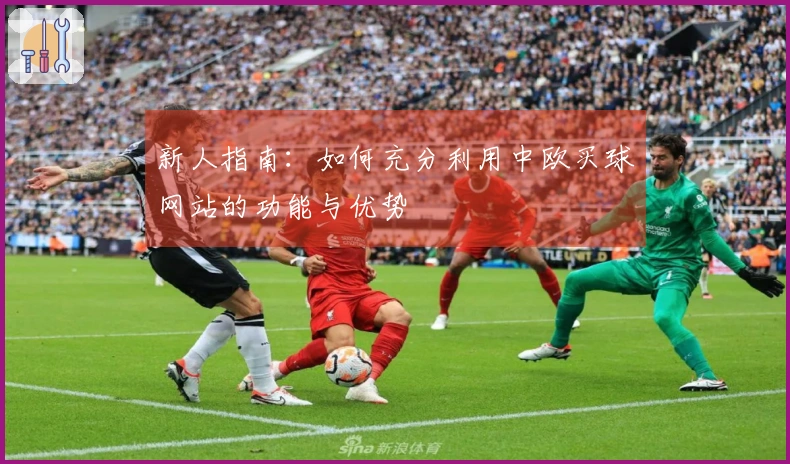 新人指南：如何充分利用中欧买球网站的功能与优势