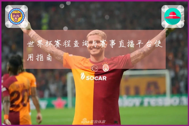 世界杯赛程查询与赛事直播平台使用指南