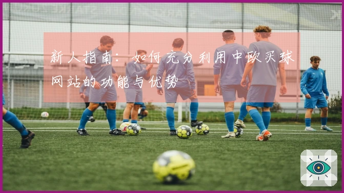 新人指南：如何充分利用中欧买球网站的功能与优势