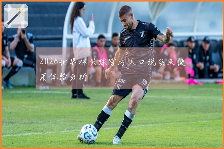 2026世界杯买球官方入口说明及使用体验分析
