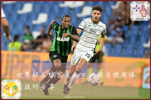 世界杯买球官方入口说明与使用体验技巧分享