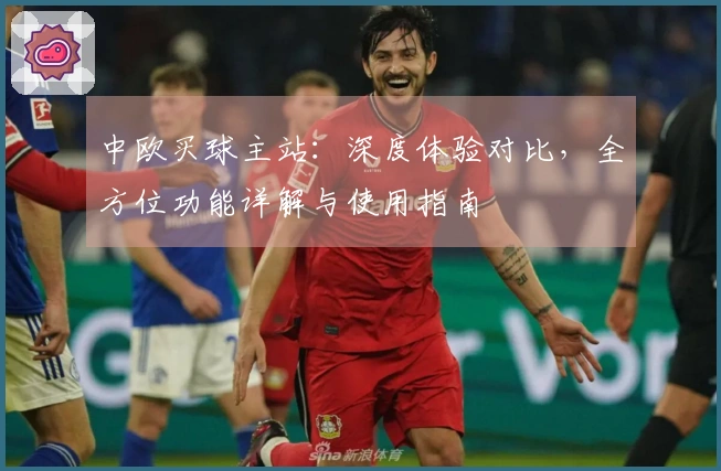 中欧买球主站：深度体验对比，全方位功能详解与使用指南